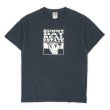画像1: Early 00's SUNNY DAY REAL ESTATE バンドTシャツ (1)