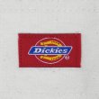 画像3: 00's Dickies コットンペインターパンツ "W34 L30" (3)