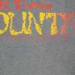 画像3: 80's POWELL 両面プリントTシャツ "LANCE MOUNTAIN" (3)