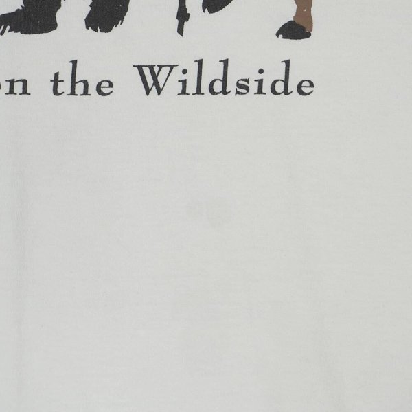 画像3: 00's A WALK ON THE WILD SIDE プリントTシャツ (3)