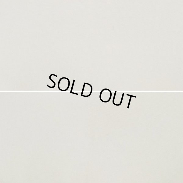 画像5: 00's Champion プレミアムリバースウィーブ スウェット (5)