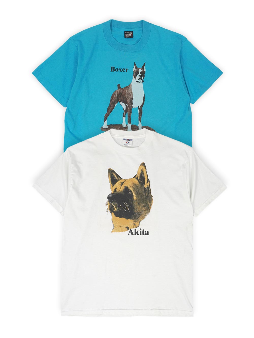 本日は15点UPしました。