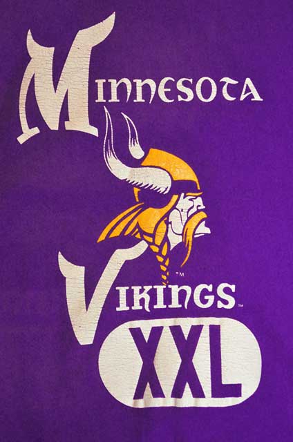 90年代 チャンピオン Champion REVERSE WEAVE リバースウィーブ 刺繍タグ NFL MINNESOTA VIKINGS ミネソタバイキングス スウェットプルオーバーパーカー USA製 メンズL ヴィンテージ /eaa374502